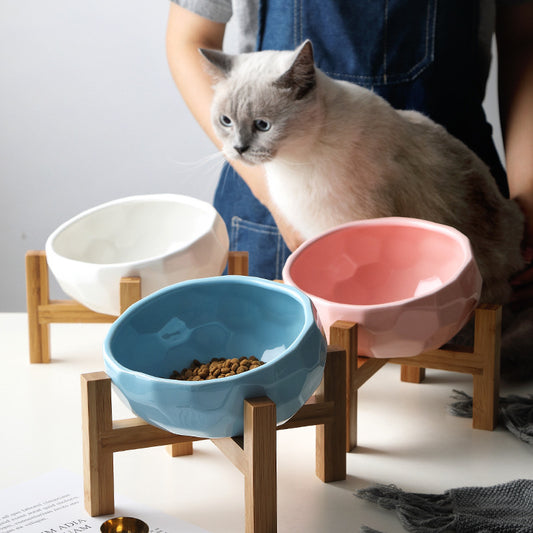 Say Goodbye to Spills: Stylish Oblique Mouth Pet Bowl for Easy Feeding!
