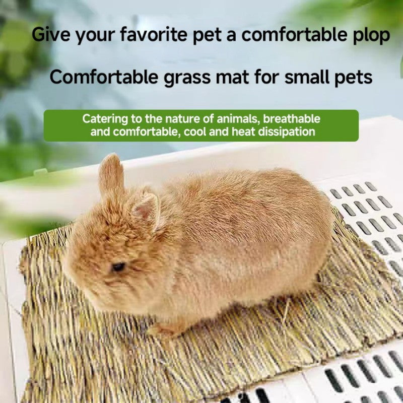 Pet Cushion