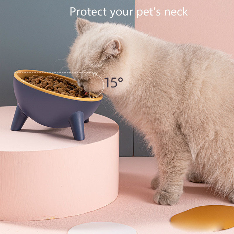 Cat Bowl With Stand Pet Feeding Food Bowls Dogs Bunny Rabbit Nordic Color Feeder Product Supplies Pet Accessories