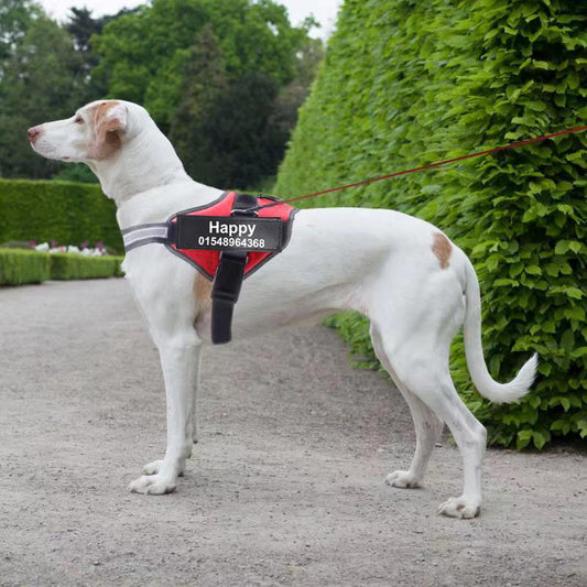 Adjustable No-Pull Reflective Dog Harness - Comfortable, Breathable, and Stylish Vest for All Sizes