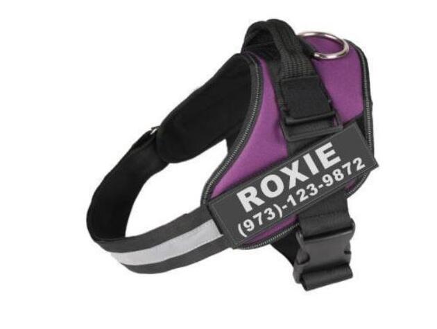 Adjustable No-Pull Reflective Dog Harness - Comfortable, Breathable, and Stylish Vest for All Sizes