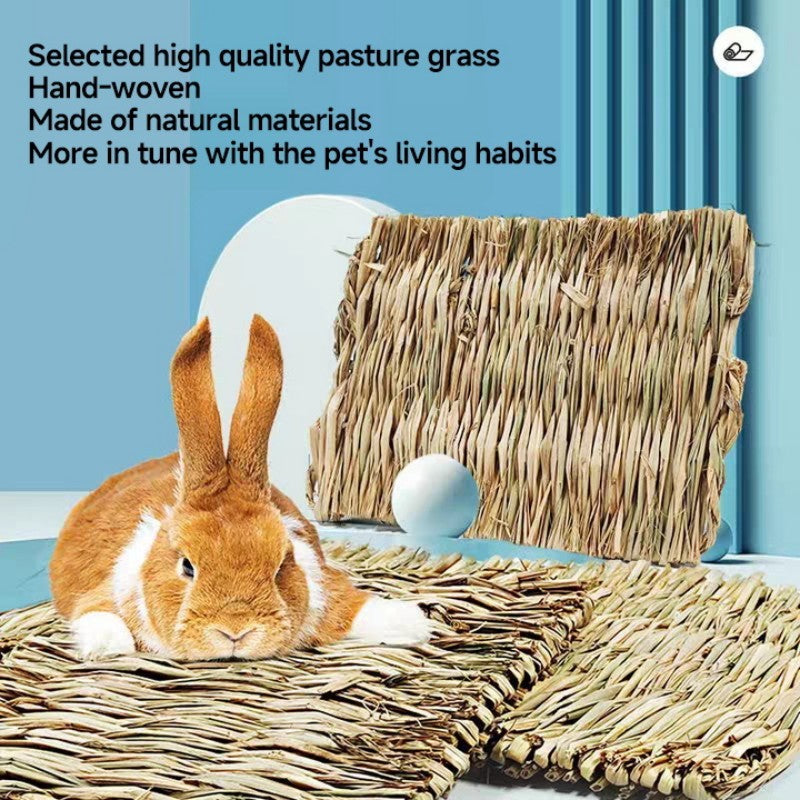 Pet Cushion