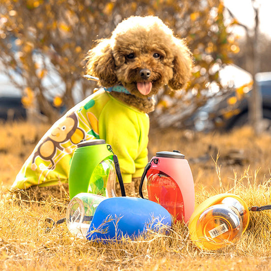 Portable Pet Water Bottle: Easy Hydration for Dogs and Cats on the Go!