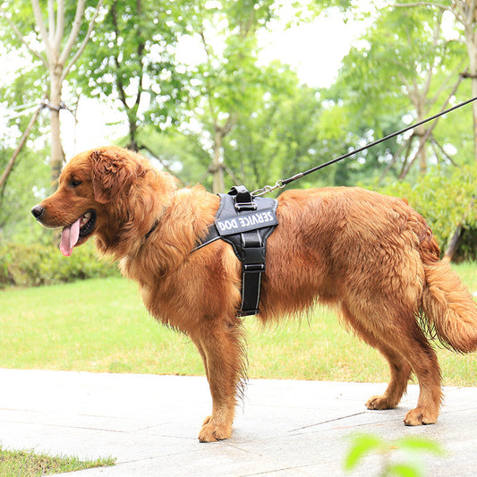 Customizable Pet Chest Strap – Comfort, Safety, and Style for Your Furry Friend!