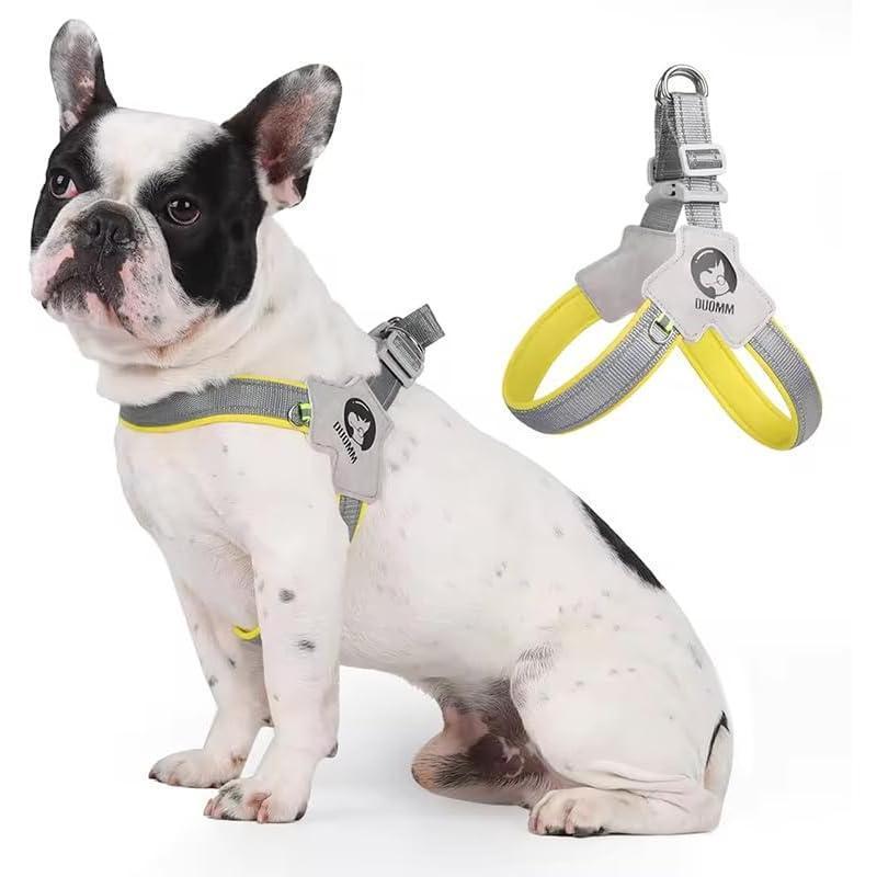 Pet Dog Cat Harness, Pet Harness With LeashSet,