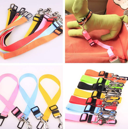 Durable Fixed Strap Polyester Dog Leash – Comfortable & Reliable for Daily Walks