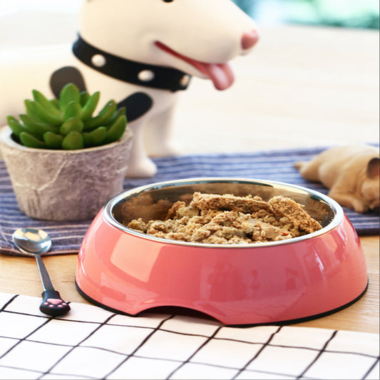 Supplies Bowls Large Stainless Steel Food Bowls Pet Cat Bowls