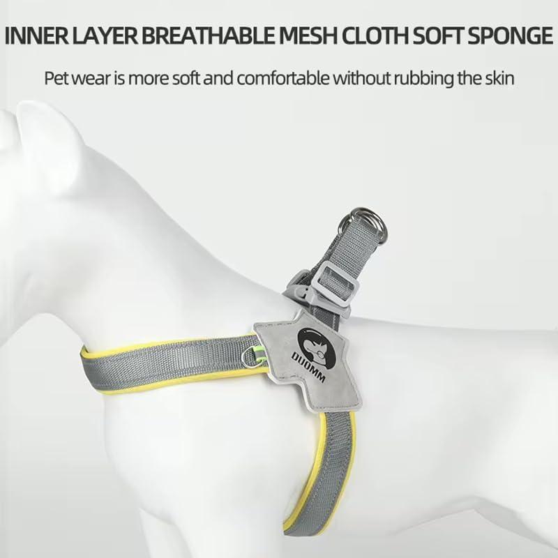 Pet Dog Cat Harness, Pet Harness With LeashSet,