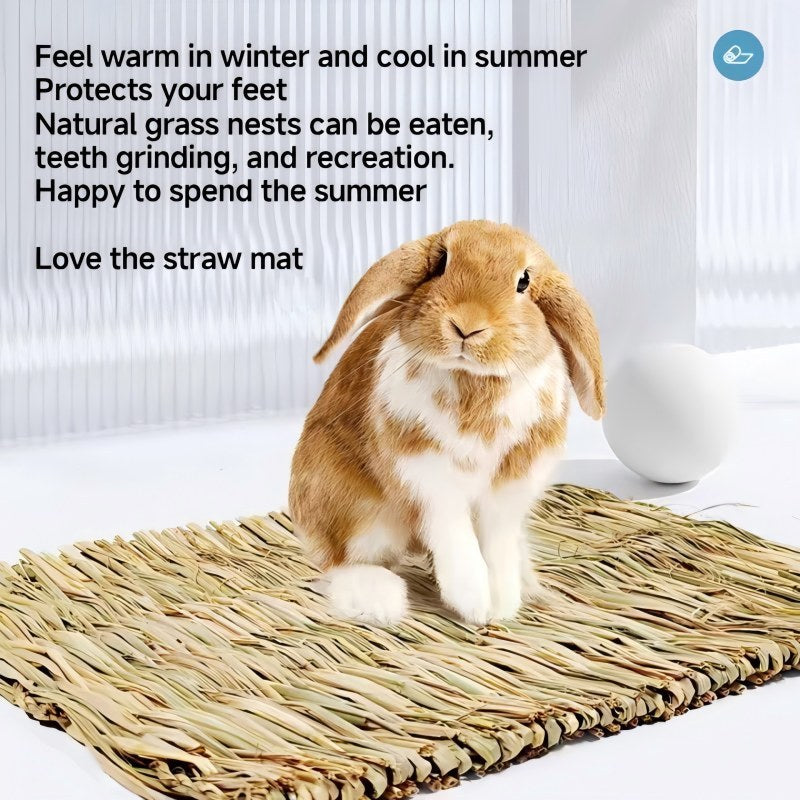 Pet Cushion