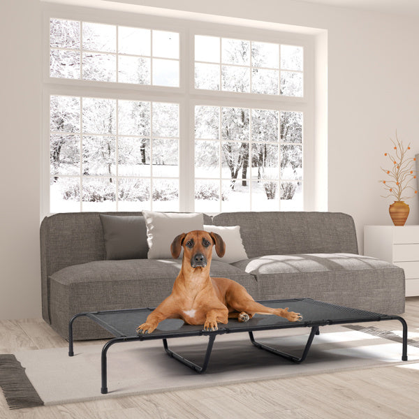 Pet Beds