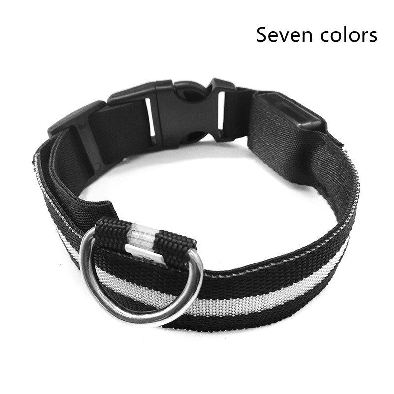 Glow in the Dark LED Pet Collar for Night Safety – Adjustable & Flashing