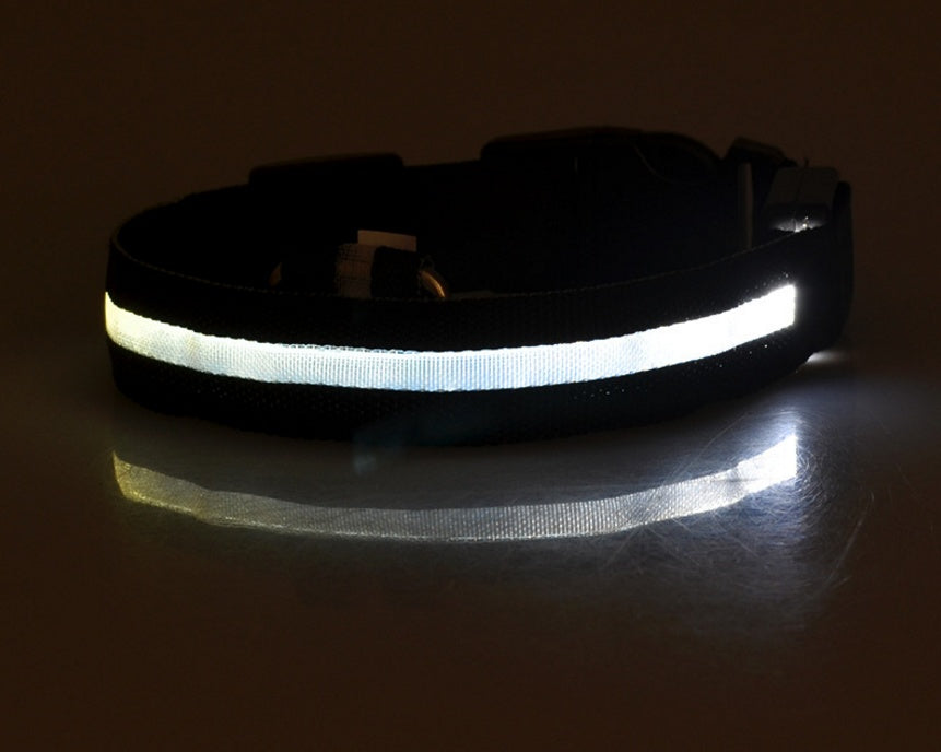 Glow in the Dark LED Pet Collar for Night Safety – Adjustable & Flashing