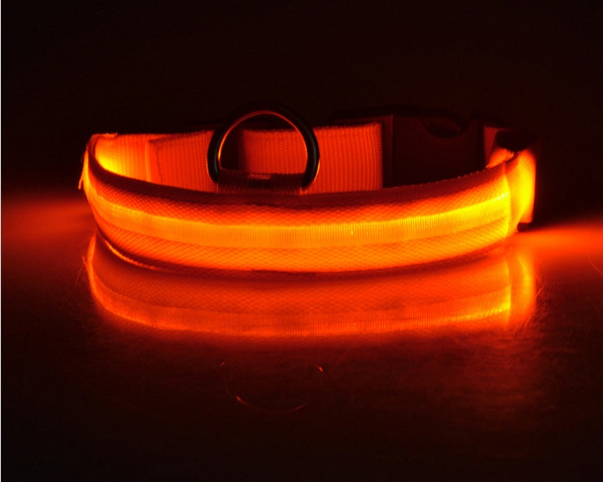 Glow in the Dark LED Pet Collar for Night Safety – Adjustable & Flashing
