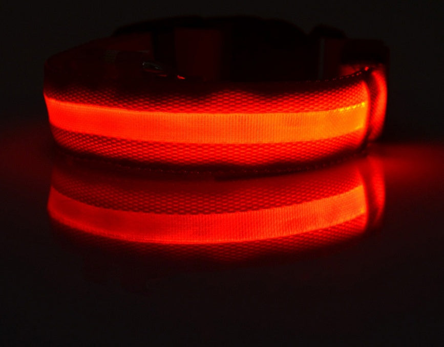 Glow in the Dark LED Pet Collar for Night Safety – Adjustable & Flashing