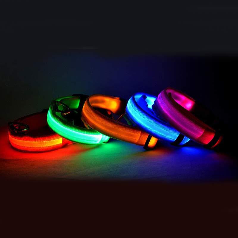 Glow in the Dark LED Pet Collar for Night Safety – Adjustable & Flashing