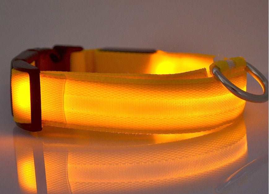 Glow in the Dark LED Pet Collar for Night Safety – Adjustable & Flashing