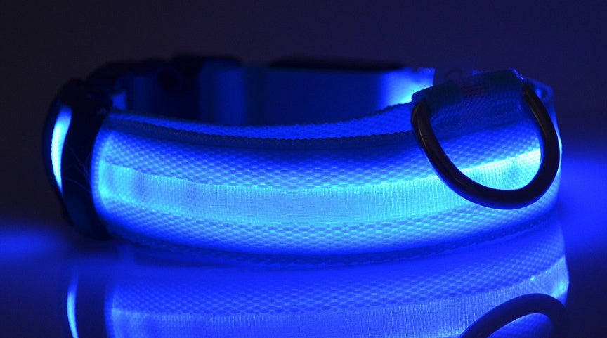 Glow in the Dark LED Pet Collar for Night Safety – Adjustable & Flashing