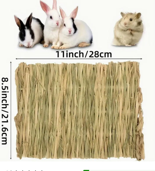 Pet Cushion