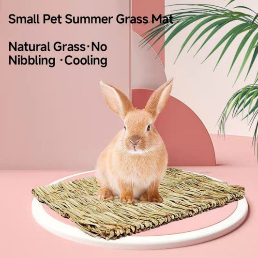 Pet Cushion