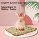 Pet Cushion
